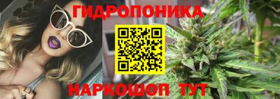 прущие грибы Конаково